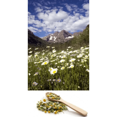 Wild Mountain Chamomile Flower 50g