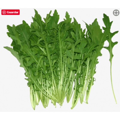 Dandelion Wild Leaf 100g