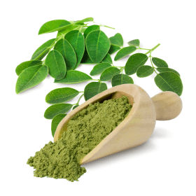 Organic Moringa Herb 100g