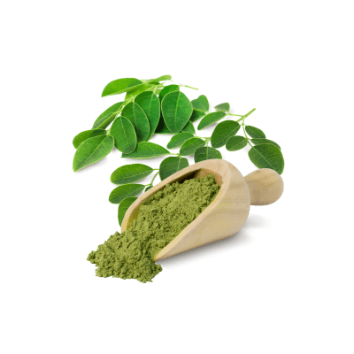 Organic Moringa Herb 100g