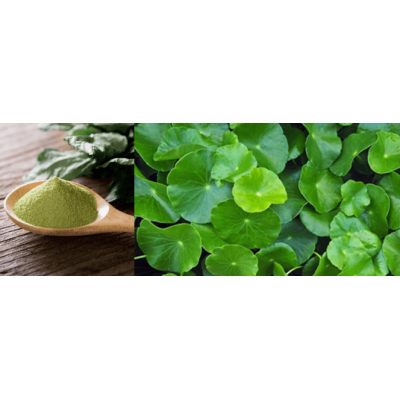 Gotu Kola Organic (Centella asiatica) Herb 100g