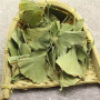 Organic Ginkgo Biloba Leaf 100g